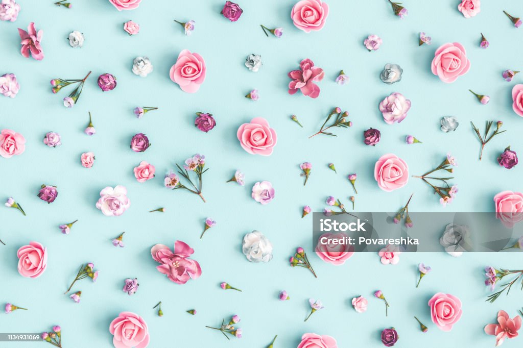 Flowers composition. Pattern made of pink flowers on pastel blue background. Flat lay, top view Flower Stock Photo