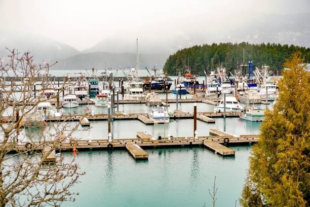 Cordova Harbor Boats stand in the docks of Cordova, Alaska.  Many fishermen will use these boats for fishing and crabbing off the Alaskan coastal waters. prince william sound photos stock pictures, royalty-free photos & images