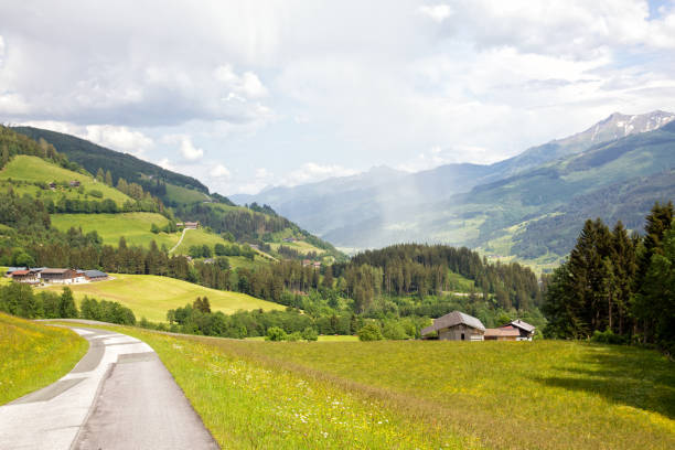istock Lush Austrian alp valley in the Zell am See area 1134934724