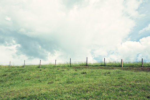 white fence and Green pastures of horse farms