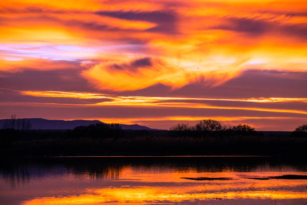 istock Sunrise at Bosque Del Apache, San Antonio, New Mexico 1134936264