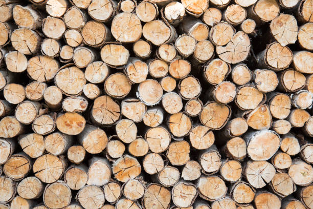 istock Wood beams and branches background wallpaper 1134937109