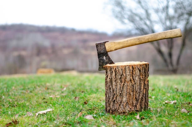 aAx with iron blade stabbed into the stump Wooden hand ax with iron blade stabbed into the stump on a grass in the nature axe stump stock pictures, royalty-free photos & images