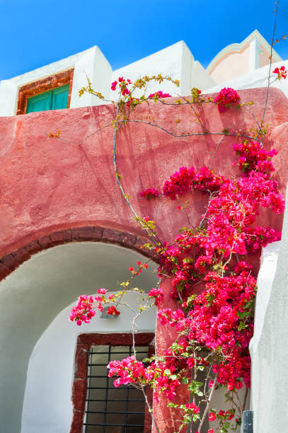 istock Traditional greek architecture. Santorini island, Greece. 1134939949
