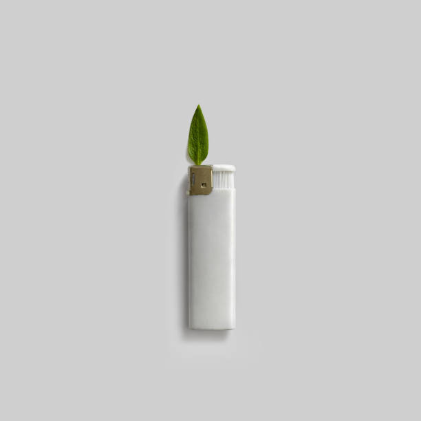 istock Lighter with green leaf like flame on white background. Fire safety. Minimal concept. 1134940186