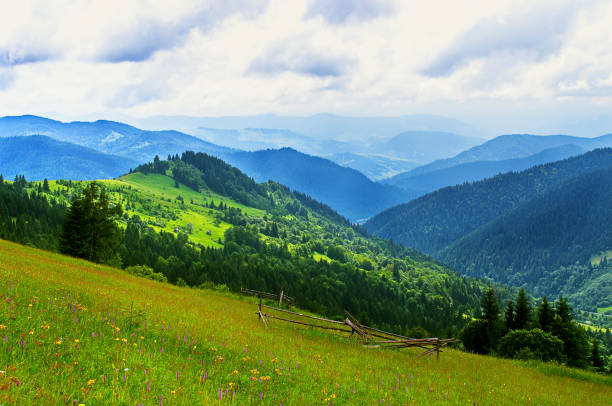 istock meadow in the mountains, slopes 1134941072