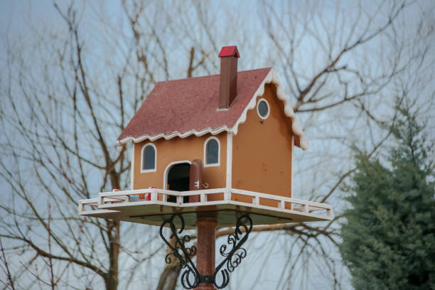 istock beautiful house made for birds 1134941403