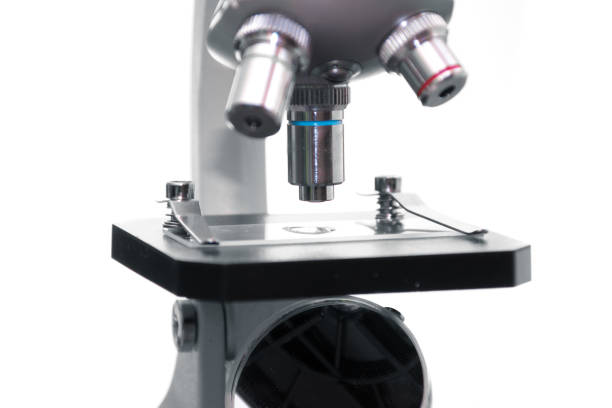 istock The process of medical research under a microscope 1134942589