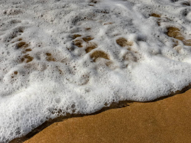 istock Incoming ocean tide on sand beach 1134945831