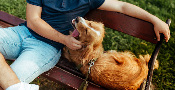 istock Man with his dog- public park. 1134948098