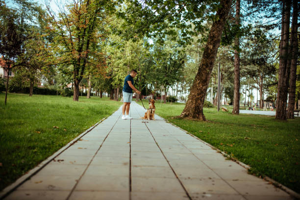 istock Man with his dog- public park. 1134948164