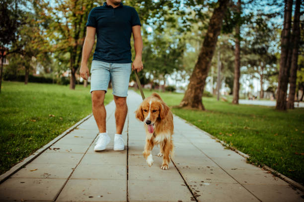 istock Man with his dog- public park. 1134948475