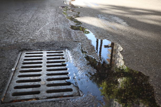 istock puddle on the pavement, palm trees reflected in the water. water flows into the sewer drain 1134949028