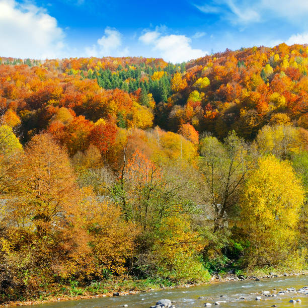 istock Bright autumn landscape in the Carpathians, Ukraine 1134950678