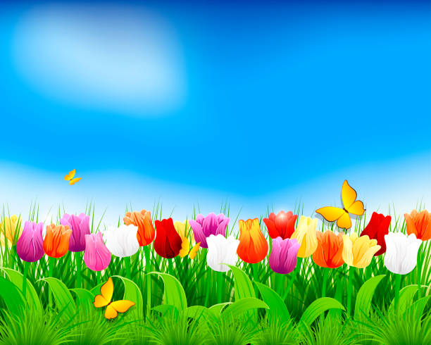 Nature Background Stock Illustration - Download Image Now - Springtime,  Flower, Backgrounds - iStock