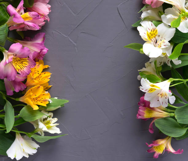 istock Background for text banner on a dark background with flowers. Blank, frame for text. Greeting card design with flowers. Aalstroemeria on wooden background. View from above 1134952765