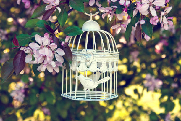 istock Apple blossoms, toned photo 1134955635