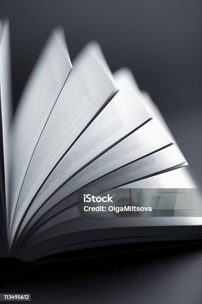 Livro Aberto - Fotografias de stock e mais imagens de Aberto - Aberto, Abstrato, Aprender