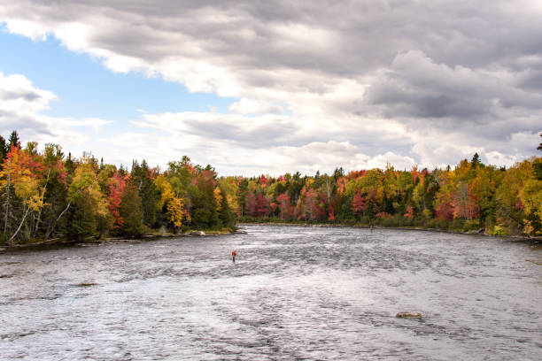 istock Fall Fishing Spot 1134958648