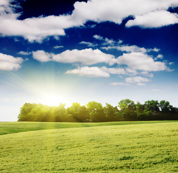 istock Summer field and sunlight in blue sky. 1134960486