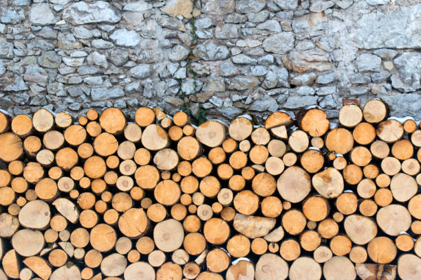 장작에 a 바위 벽 - cabin log log cabin winter 뉴스 사진 이미지