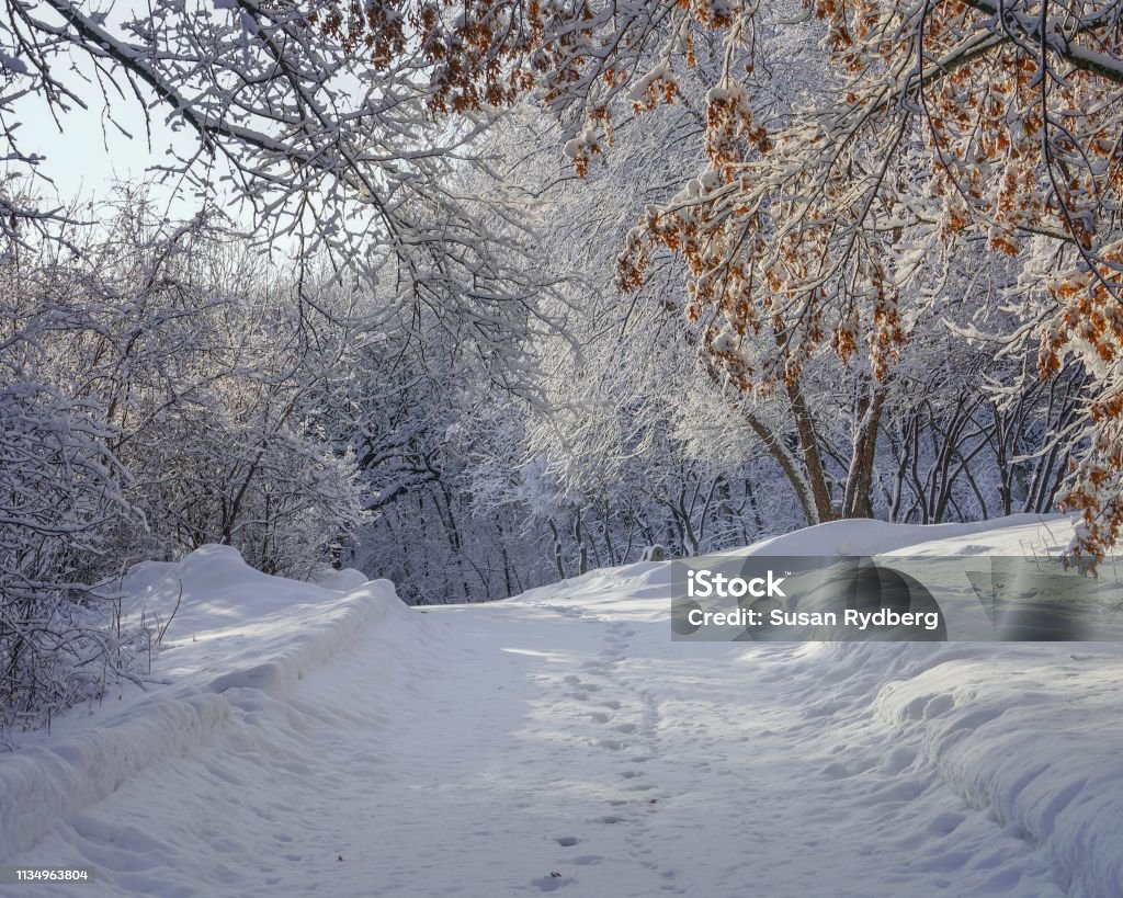 Phong Cảnh Mùa Đông Tuyệt Đẹp Ở Minnesota Hình ảnh Sẵn có - Tải xuống Hình  ảnh Ngay bây giờ - Ban ngày, Bao gồm, Băng - Nước đông lạnh - iStock