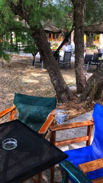 Beach chairs and coffee table with ashtray under fir tree