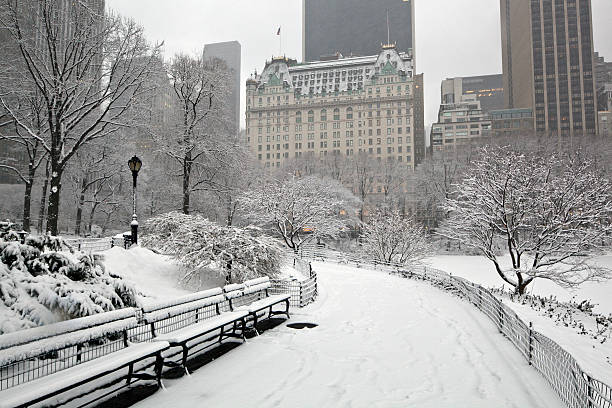 istock After snow storm in New York City 113496736