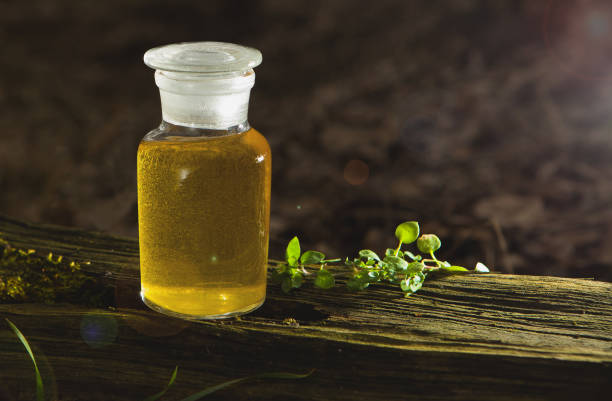 istock Organic bio alternative medicine, bottle. 1134967985
