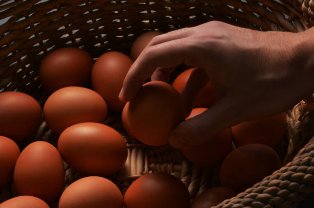 istock Male hand choosing egg from an egg basket 1134969311