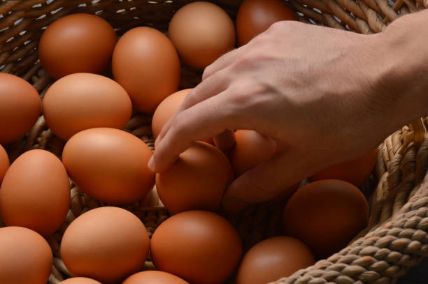 istock Male hand choosing egg from an egg basket 1134969353