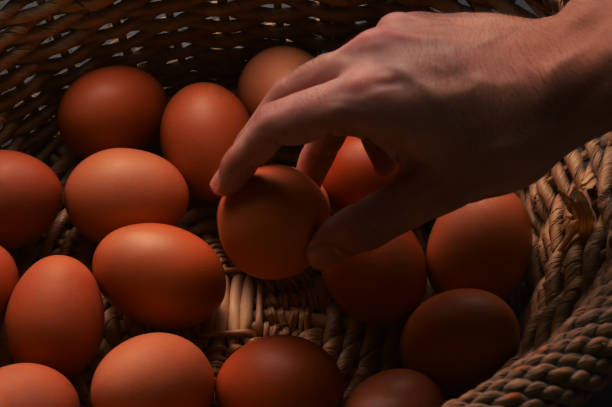 istock Male hand choosing egg from an egg basket 1134969384