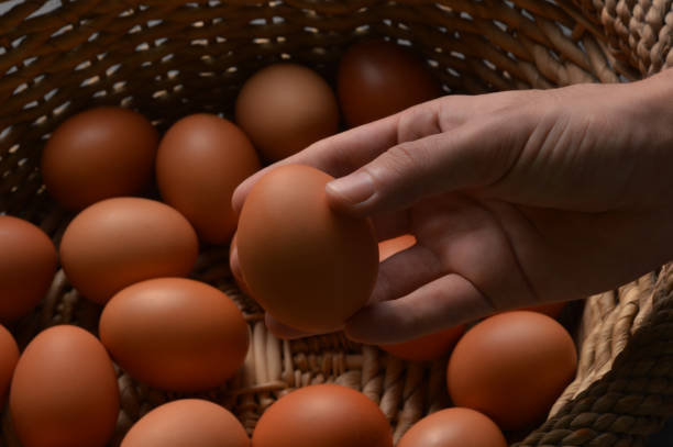 istock Male hand choosing egg from an egg basket 1134969417