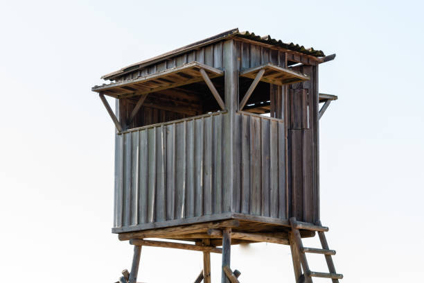 istock Treehouse for kids. Playhouse, in white background 1134970775