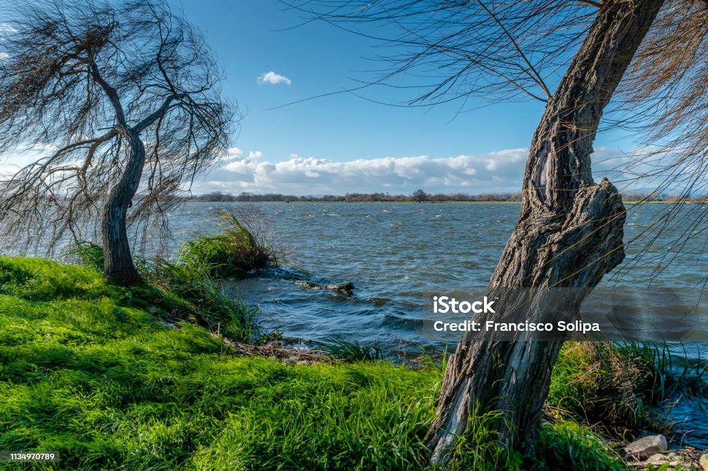 River tejo on a windy day with many clouds, in Bico Goiva, salvaterra de magos Portugal. Blue Stock Photo