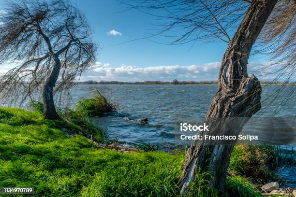River Tejo On A Windy Day With Many Clouds In Bico Goiva Salvaterra De Magos Portugal Stock Photo - Download Image Now
