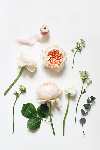 Summer botanical floral composition. Apricot English roses, ranunculus, astrantia flowers, eucalyptus branch and pink ribbon on white table background. Styled stock photo, vertical flat lay, top view