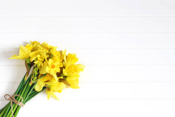 Easter greeting card, invitation. Bouquet of yellow daffodils, narcissus flowers lying on white wooden table. Spring concept. Feminine styled stock photo, floral composition. Flat lay, top view. stock photo