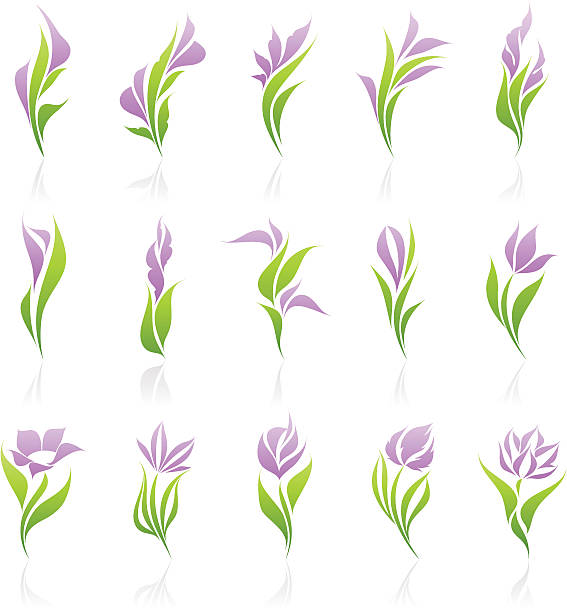 blumen. elemente für design. - gladiolus flower iris design stock-grafiken, -clipart, -cartoons und -symbole