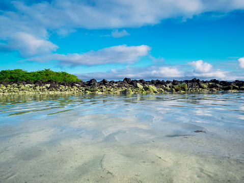 Galapagos Beach at Tortuga Bay on Santa Cruz island