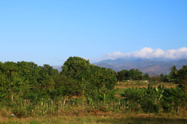 istock Landscape- Trinidad- Cuba 1134981866