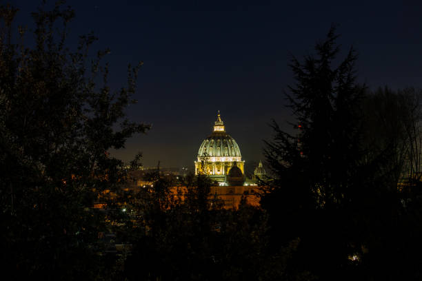 성 베드로는 나무의 가지에 나온다. - vatican dome michelangelo europe 뉴스 사진 이미지