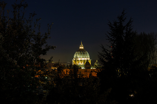 Rome Italy. On a February night the dome of St. Peter emerges in the branches of the trees, all lit up.