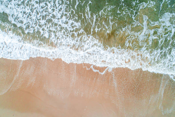 istock Drone shot of beach from directly above 1134991007