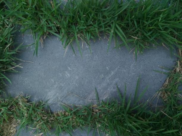istock green artificial grass and gray cement floor 1134997642