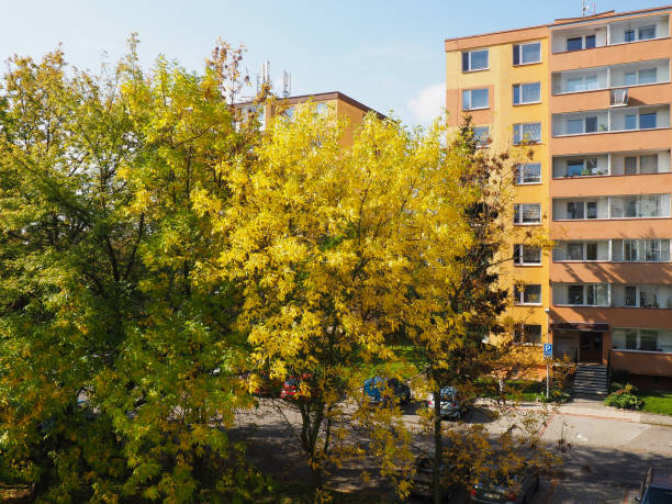 istock Autumn on housing estate 1134999709