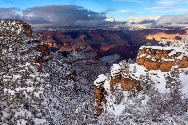 a borda sul da garganta grande após uma tempestade da neve do inverno. - south rim - fotografias e filmes do acervo