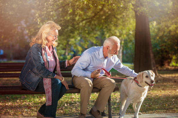 istock Happy Senior couple outdoors with dog enjoying 1135003313