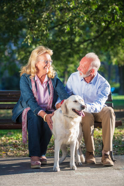 istock Happy Senior couple outdoors with dog enjoying 1135003323