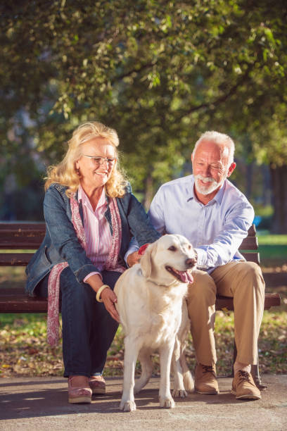 istock Happy Senior couple outdoors with dog enjoying 1135003391